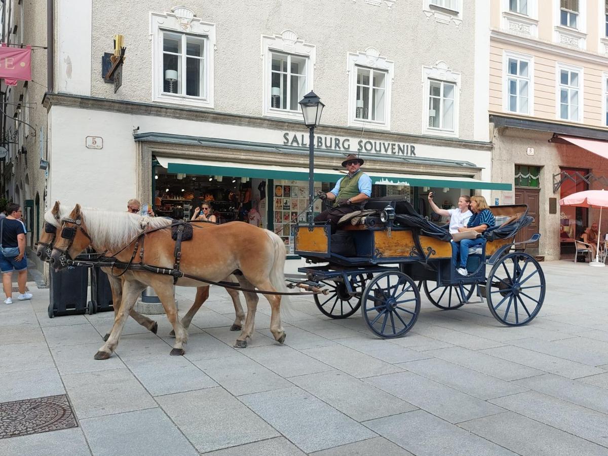 Schernthaner Leilighet Taxenbach Eksteriør bilde